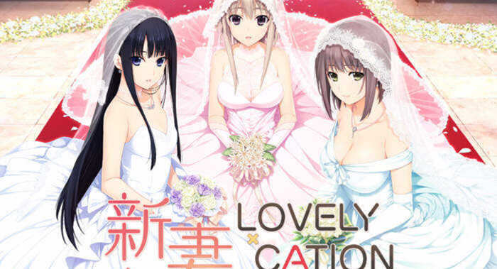 新妻LOVELY×CATION 精翻汉化版+全CG存档 大型ADV游戏-概念社ACG